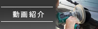 動画紹介